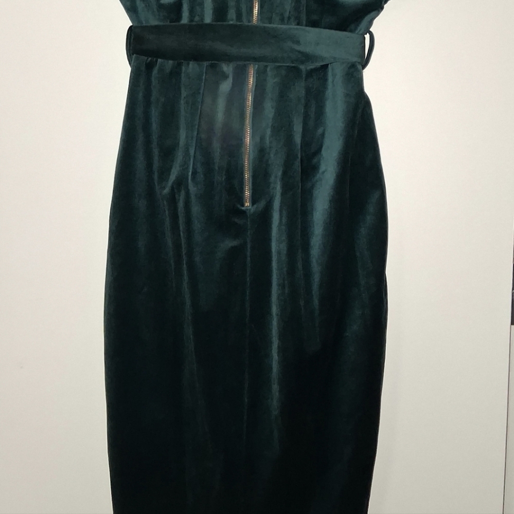 Elegant Green Velvet Dress - Picture 4 of 6